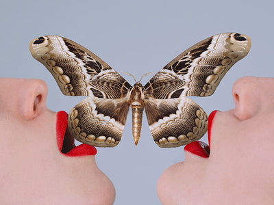Butterfly Artwork - Tyler Shields
