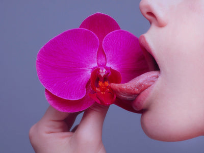 Orchid Artwork - Tyler Shields